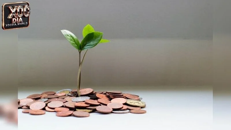 Kỹ Thuật Bắt Cầu Xóc Đĩa Kubet: Hướng Dẫn Từng Bước
